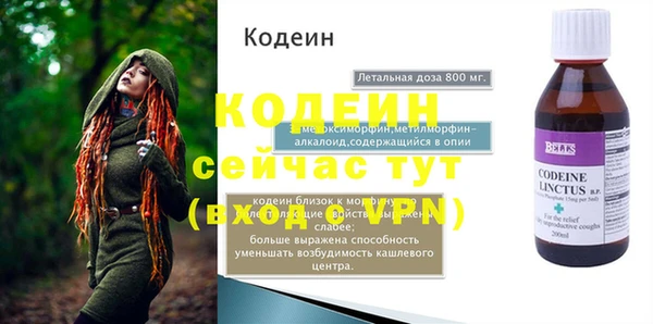 индика Дмитриев