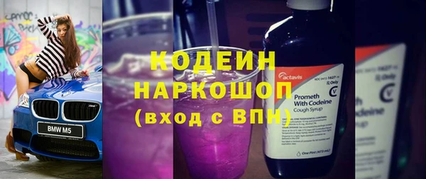 индика Дмитриев