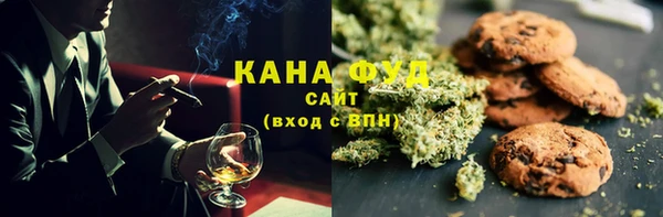 индика Дмитриев