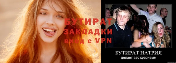 индика Дмитриев