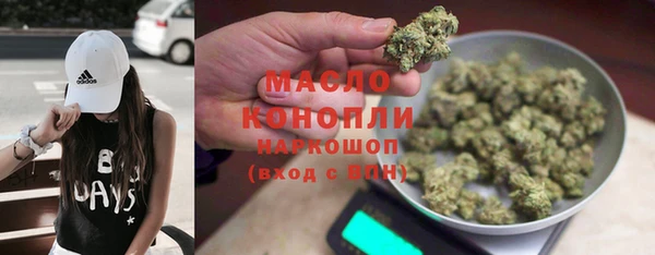 соль ск Ельня