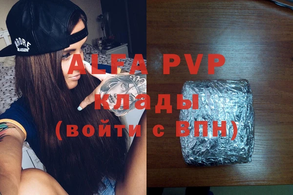 индика Дмитриев