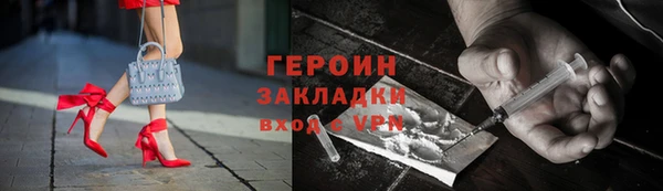 индика Дмитриев