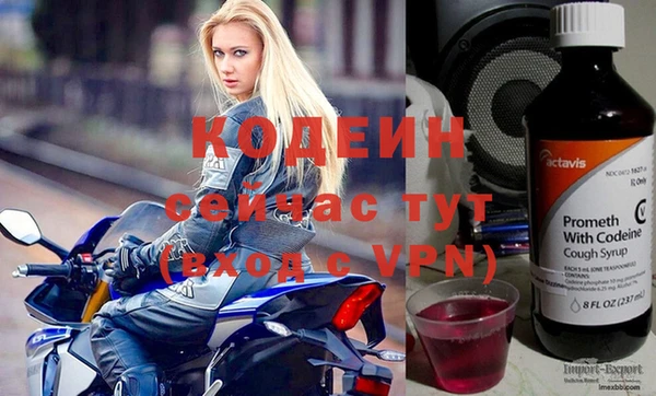 индика Дмитриев