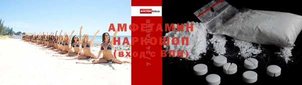 индика Дмитриев