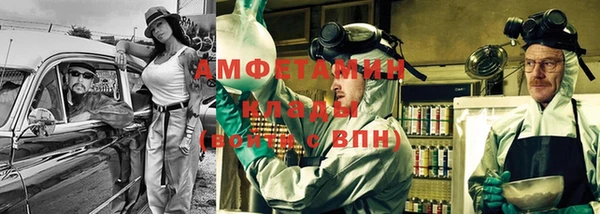 индика Дмитриев