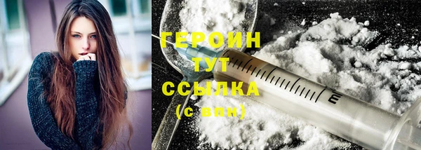 индика Дмитриев