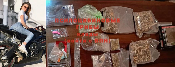 индика Дмитриев