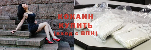 индика Дмитриев
