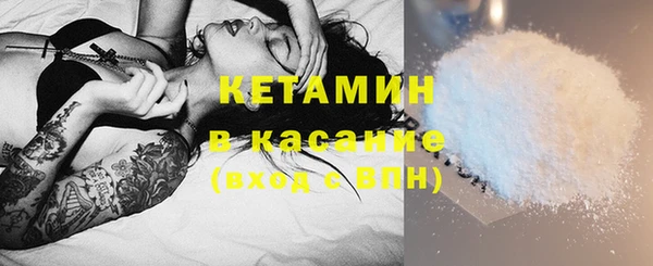индика Дмитриев