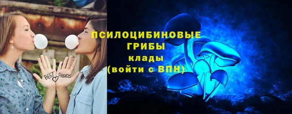 индика Дмитриев